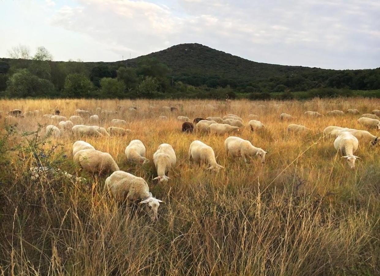 B&B Champdelaplume Barjac  Εξωτερικό φωτογραφία